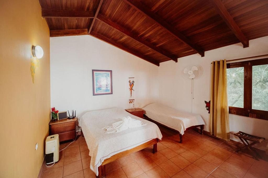 Lodge Mirador - Great Swimming Pool - Kitchen - Bbq - Netflix Tajo Alto Екстериор снимка