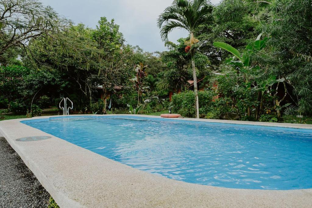 Lodge Mirador - Great Swimming Pool - Kitchen - Bbq - Netflix Tajo Alto Екстериор снимка